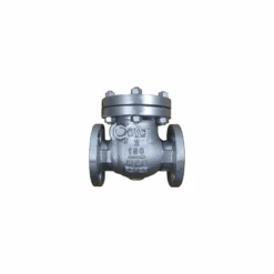 CHECK VALVE 3 CARBON STEEL CLASS 150