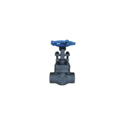 GATE VALVE 1/4 FRGD STEEL CLASS 800